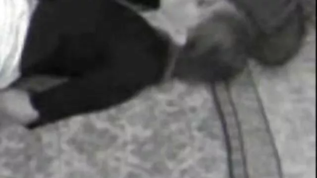 Caldo meraviglioso Bumblebee cavalca un cazzo duro mature scopate amatoriali