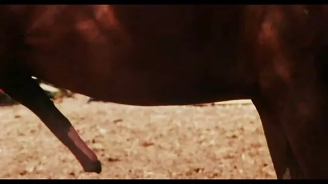 Una donna con un grande culo nel corpo ha ottenuto un orgasmo dal cazzo in video amatoriale matura una posizione di cowgirl